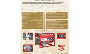 Бензиновый генератор DDE DPG7553E